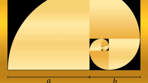 Természettudományos előadás - Nem minden arany, ami fénylik. Az aranymetszés.